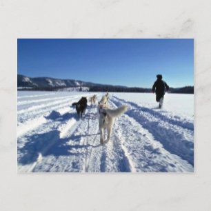 On the run postcard