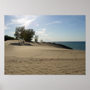 On top of Mt. Baldy, Indiana Dunes National Park Poster