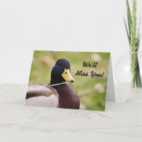 On va manquer ta carte de canard