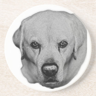 On You, Easy Sip Coaster