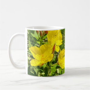 Onagre du soir, mug papillon machaon ©️dh26