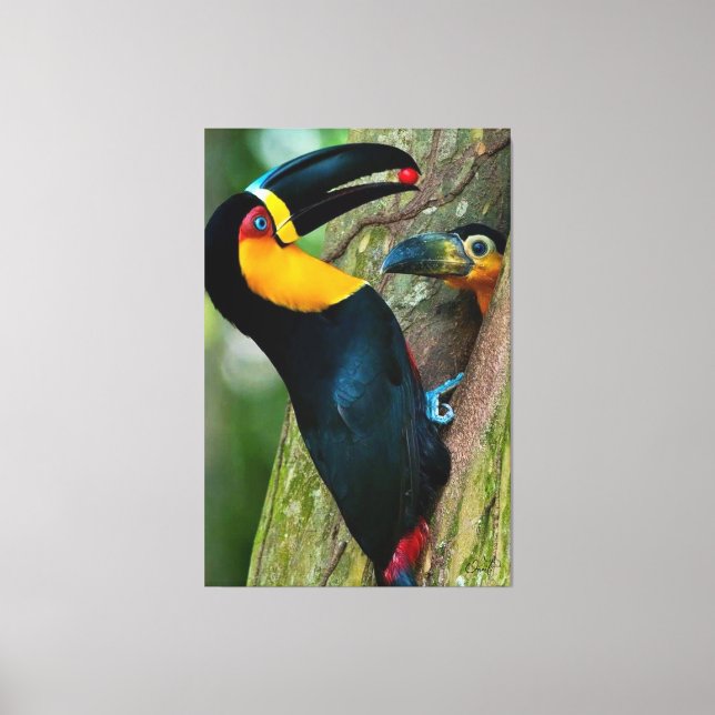 Onaitsirc Infinity collection of screenshots. Canvas Print (Front)