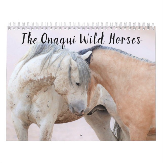 Onaqui Wild Horses Calendar (Cover)