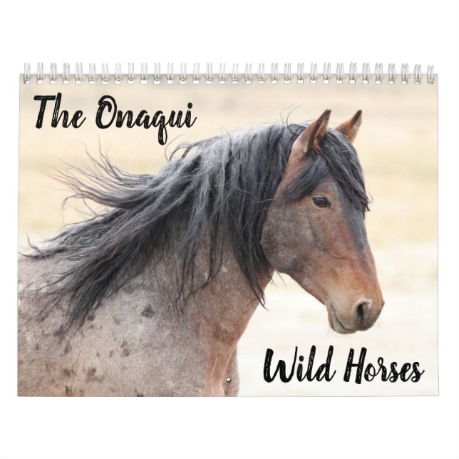 Onaqui Wild Horses Calendar (Cover)