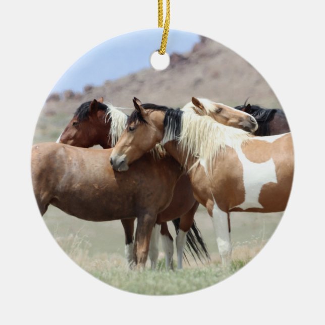 Onaqui Wild Horses Ornament (Front)