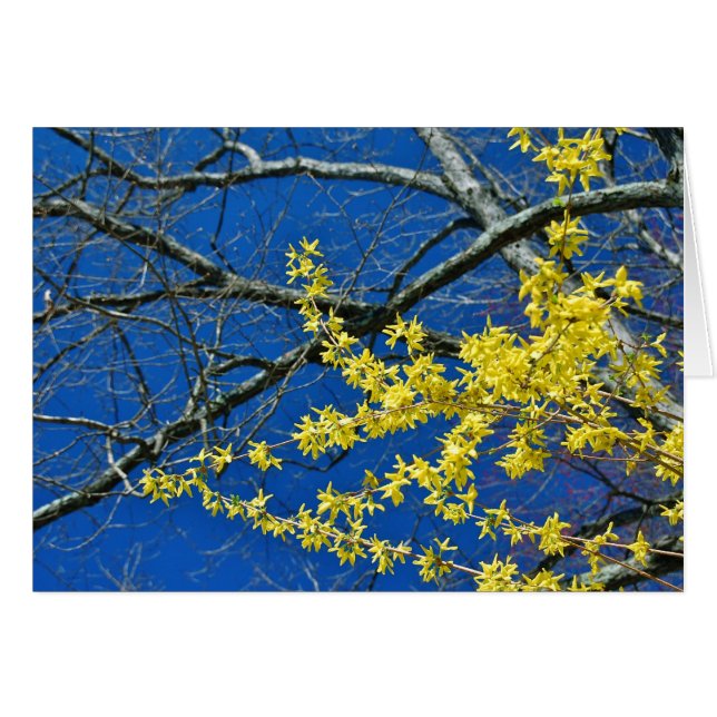 Once Again (Front Horizontal)