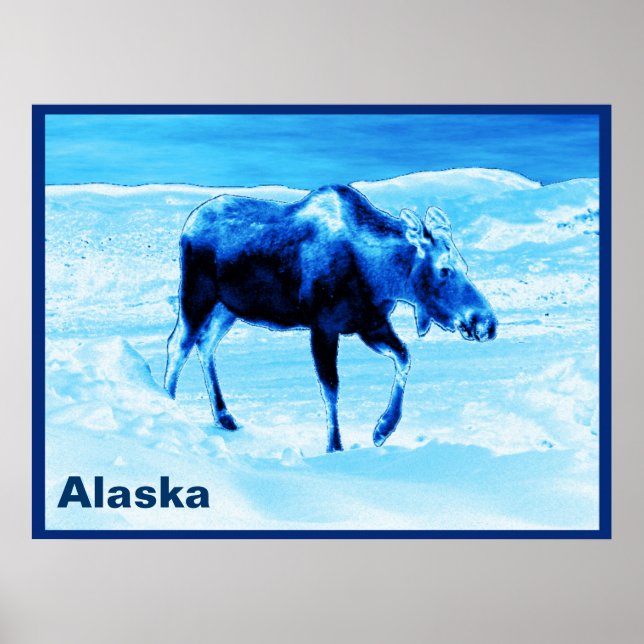Once In A Blue Moose Poster (Front)