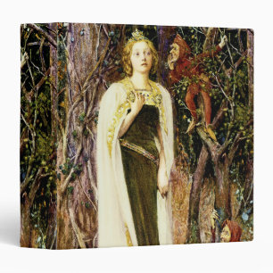 Once Upon a Time Binder