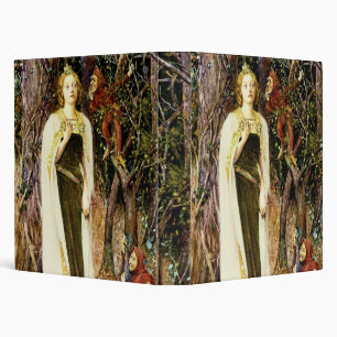 Once Upon a Time Binder