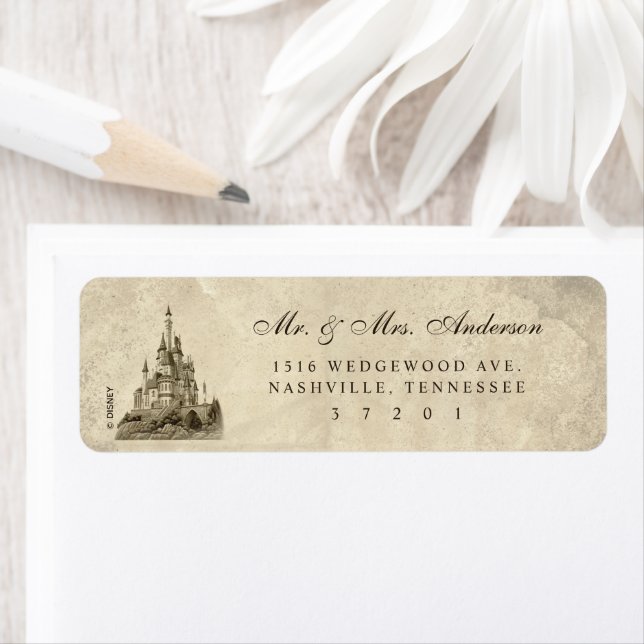 Once Upon a Time Fairy Tale Castle Wedding (Insitu)