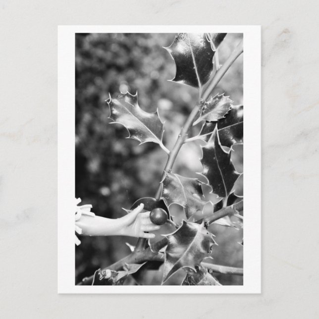 Once upon a time in the woods postcard (Front)