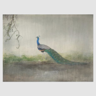 Once Upon A Time Tissue Paper