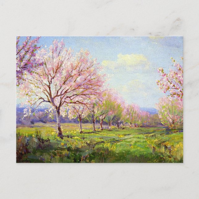 Onderdonk - Peach Orchard, Postcard (Front)