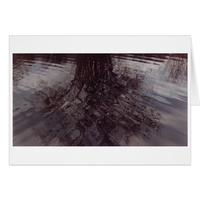 Ondes se croisant dans un étang (Devant horizontal)