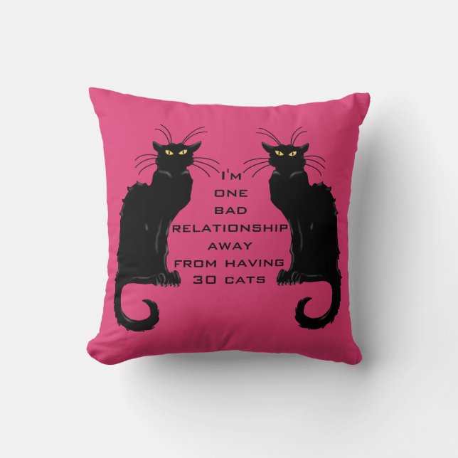 One Bad Relationship Away From Having 30 Cats Throw Pillow (Front)