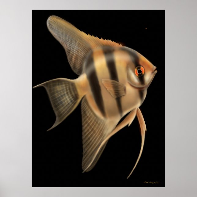 One Big Angelfish Print (Front)