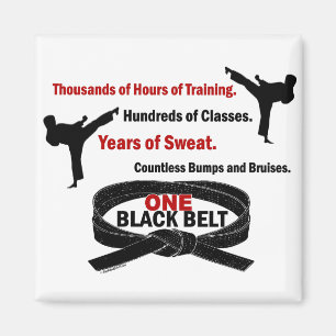 ONE Black Belt 1 KARATE T-SHIRTS & APPAREL Magnet