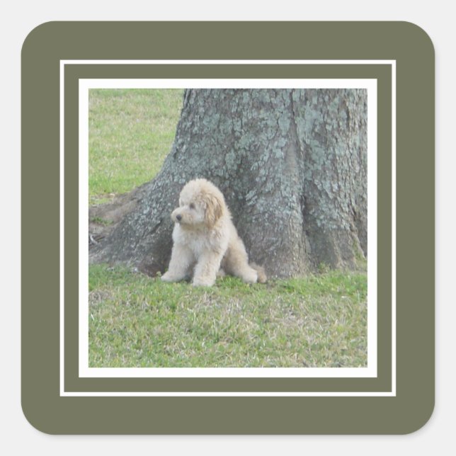 One Custom Photo Template Green & White Framed Square Sticker (Front)