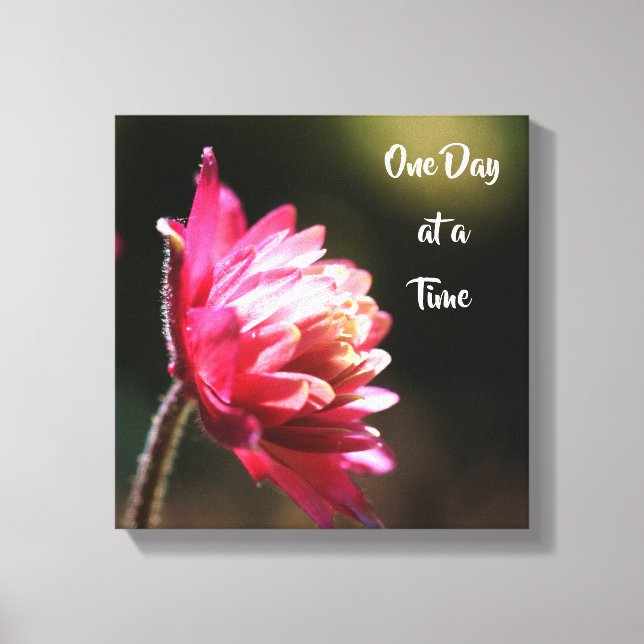 One Day At A Time Quote Flower In Sunlight  Canvas Print (Front)