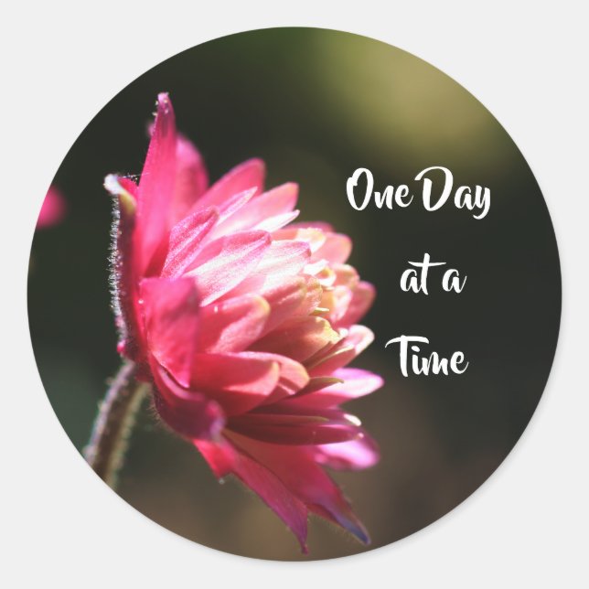 One Day At A Time Quote Flower In Sunlight  Classic Round Sticker (Front)