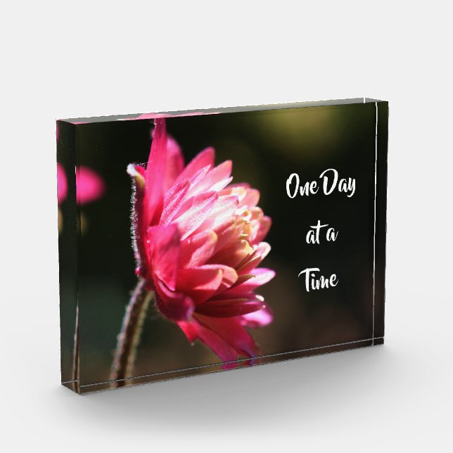 One Day At A Time Quote Flower In Sunlight Photo Block (Left)