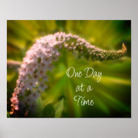 One Day At A Time White Wildflower Inspirational
