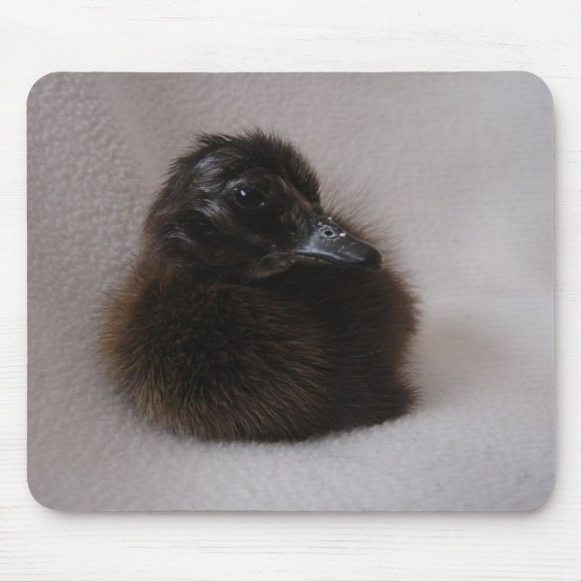 One Day Old Duckling Mouse Pad (Front)