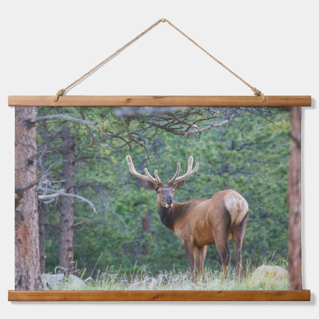 One Elk Looking Back | Rocky Mountains Hanging Tapestry (Front)