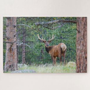 One Elk Looking Back Rocky Mountains Jigsaw Puzzle