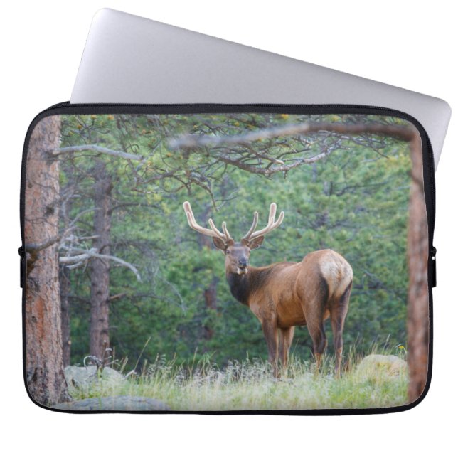 One Elk Looking Back | Rocky Mountains Laptop Sleeve (Front)