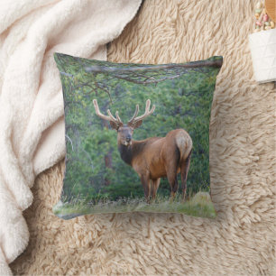 One Elk Looking Back Rocky Mountains Throw Pillow