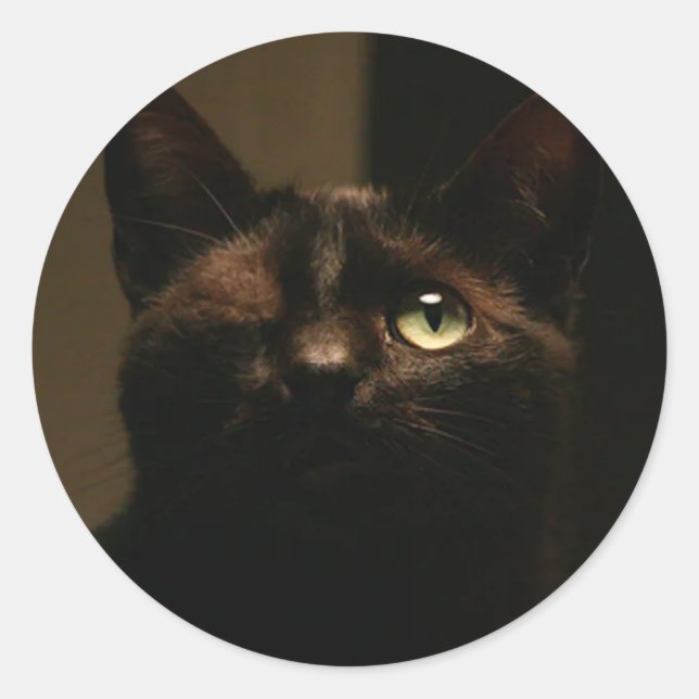 One-eyed cat- Tom Sawyer Classic Round Sticker (Front)