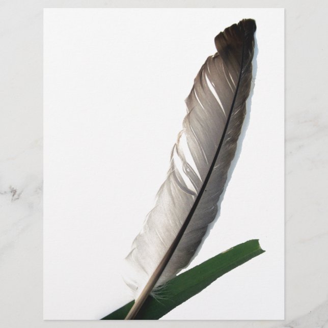 One Feather (Front)