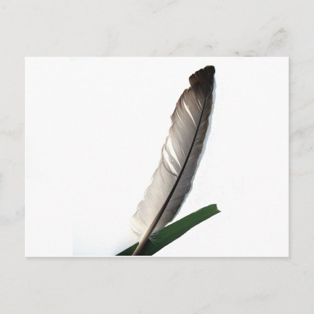 One Feather Postcard (Front)
