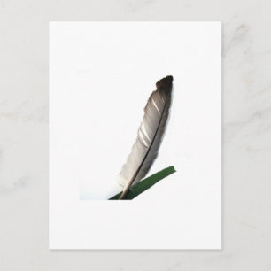 One Feather Postcard