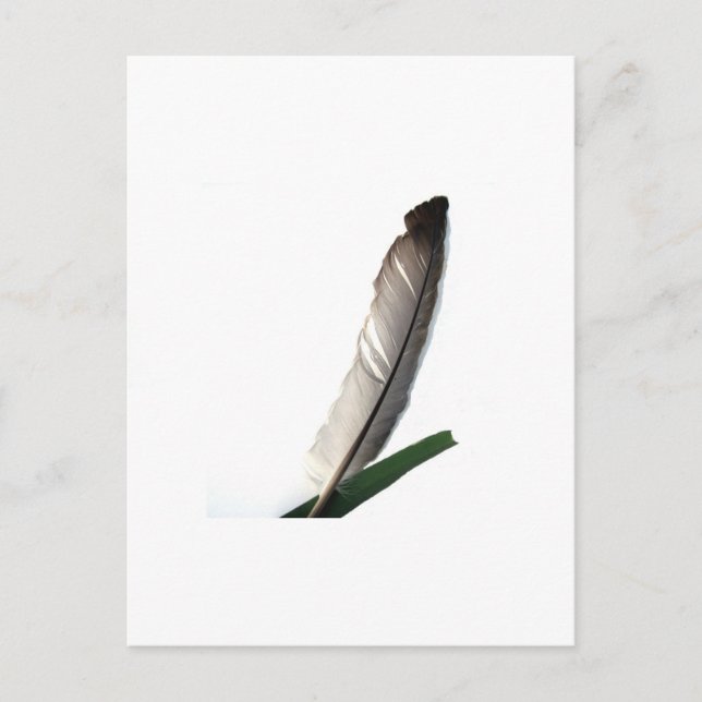 One Feather Postcard (Front)