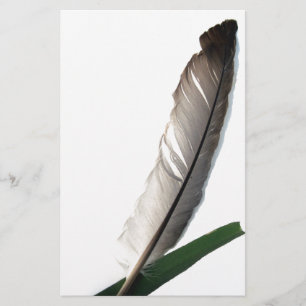 One Feather Stationery