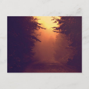 One Foggy Morning Postcard