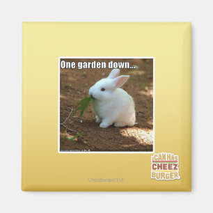 One Garden Down� Magnet