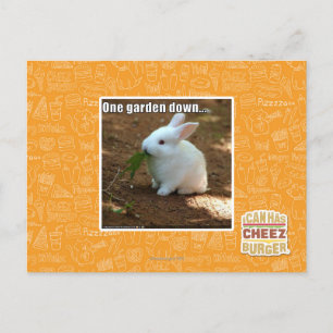 One Garden Down� Postcard