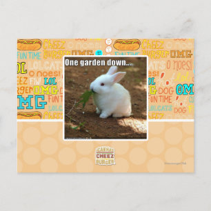One Garden Down � Postcard