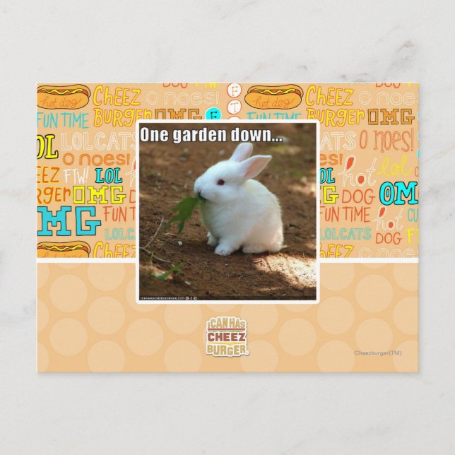 One Garden Down � Postcard (Front)