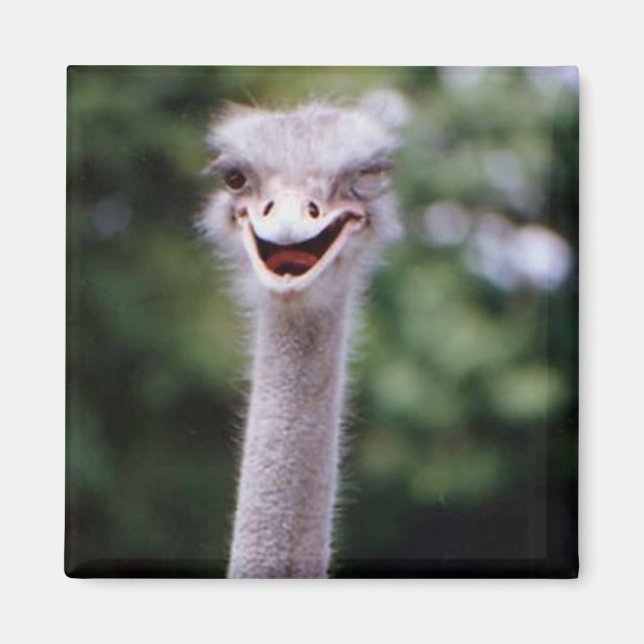 One Happy Ostrich refrigerator magnet (Front)