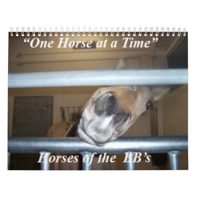 One Horse at a Time Calendar (Cover)
