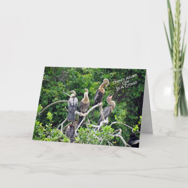 One In A Crowd - Anhinga Family Greeting Card (Front)
