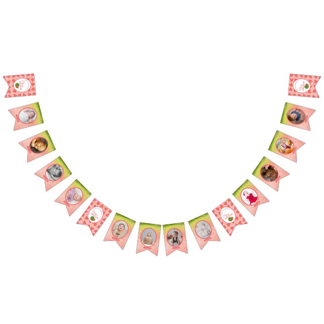 One In A Melon 1st Birthday Photo Bunting Flags (All)