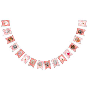 One In A Melon 1st Birthday Watermelon  Photo Bunt Bunting Flags