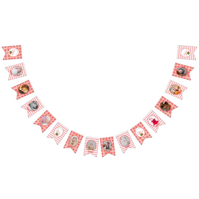One In A Melon 1st Birthday Watermelon  Photo Bunt Bunting Flags (All)
