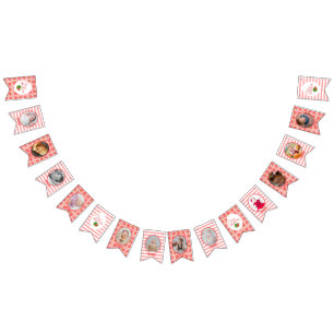 One In A Melon 1st Birthday Watermelon Photo Bunting Flags