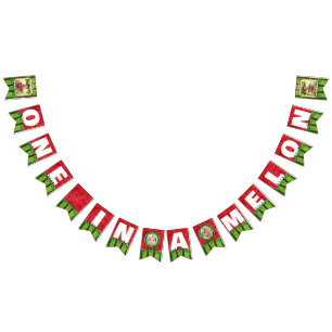 ONE in a Melon Cute Watermelon 1st Birthday Photo  Bunting Flags
